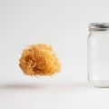 The Incredible Benefits of Taking Sea Moss Daily