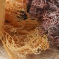 Does Sea Moss Help Fight Inflammation? - An Expert's Perspective