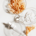 The Health Benefits of Taking Sea Moss Explained