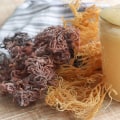 The Benefits of Sea Moss: Is it Good for Everyone?