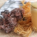 The Benefits of Sea Moss: Is it Good for Everyone?
