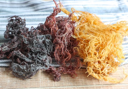 The Incredible Health Benefits of Sea Moss: What Organs Does it Help?