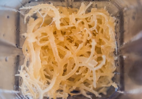 The Benefits and Risks of Taking Sea Moss Everyday: An Expert's Perspective