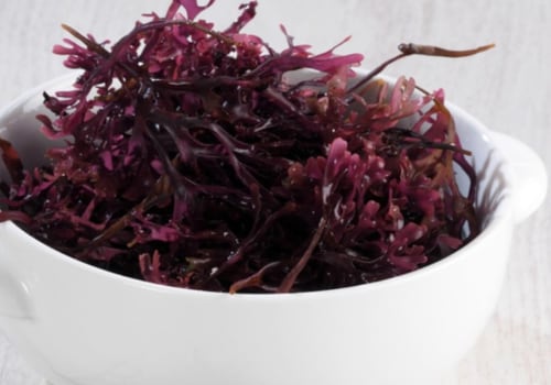 The Potential Side Effects of Sea Moss Consumption