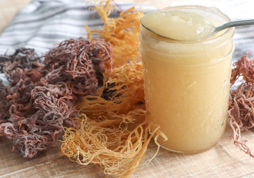 The Benefits of Sea Moss: Is it Good for Everyone?